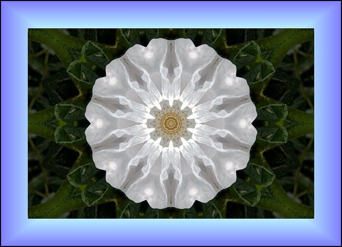 Flower Mandala framed